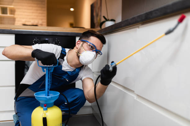 Best Termite Control Services  in South Gate, CA