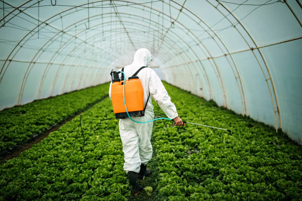 Pest Control for Restaurants in South Gate, CA