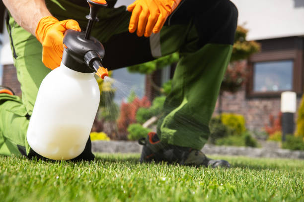 Best Mosquito Control Services  in South Gate, CA