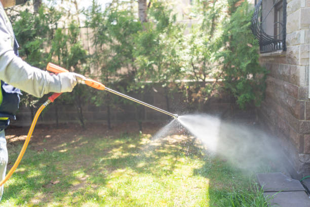 Best Commercial Pest Control Services  in South Gate, CA