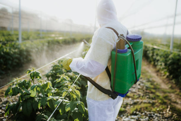  South Gate, CA Pest Control Pros
